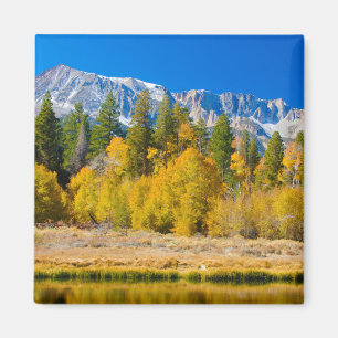 Tioga-Pass im Yosemite-Nationalpark Magnet