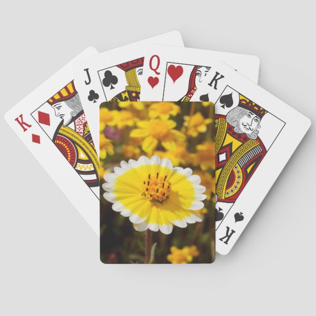 Tipp-Wildblumen Spielkarten (Rückseite)