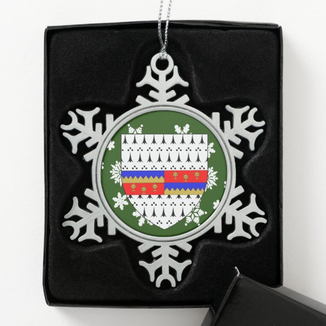 Tipperary Ireland Wappen Irish Schneeflocken Zinn-Ornament (Box)