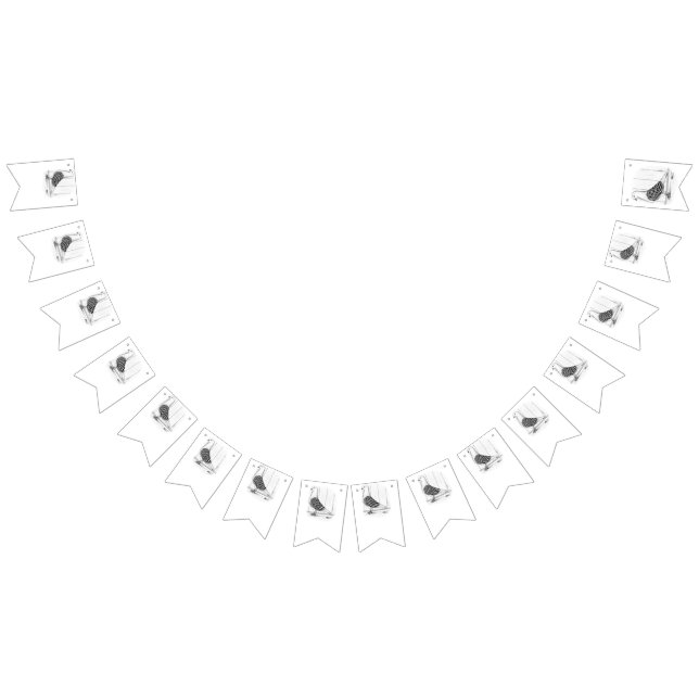 Tippler Schild Markierte Taube (Alle)