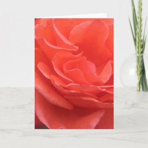 Tipps zur Blume der Peach-Rose-Foto-Grußkarte Karte