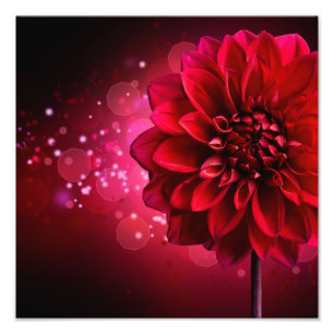 Tirage photo Dahlia Rouge