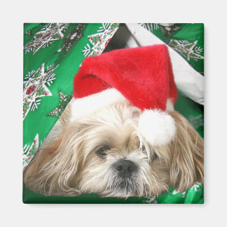 Tired Christmas Shih Tzu Magnet