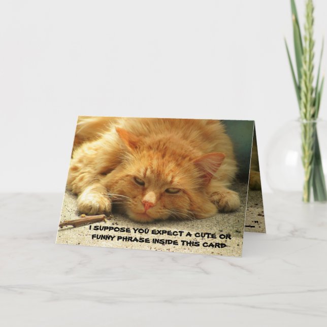 Tired Kitty veut que vous finissiez sa carte (Devant)