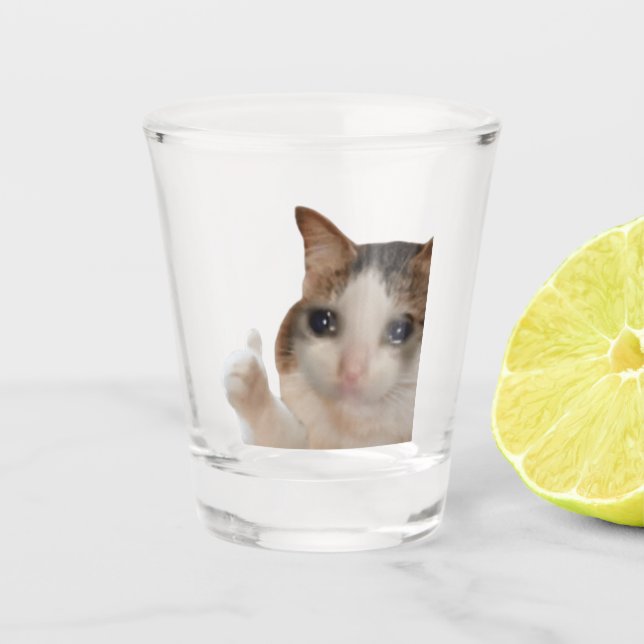 Tirer Des Pouces De Verre Vers Le Haut Bon Mème De (Devant)