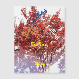 Tirer Votre Capture Sur N'Importe Qui Carte De Voe