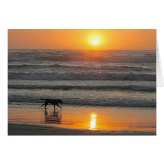 Tirez le meilleur de votre jour