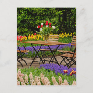 Tischdecken im Garten, Keukenhof Gardens, Postkarte