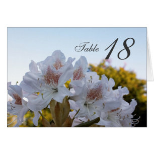 Tischnummer-Karte für Blume mit weißer Azalea