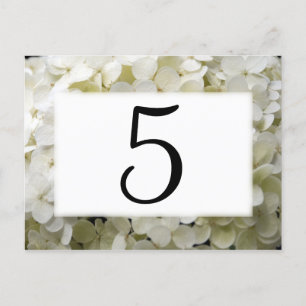 Tischnummern der Hydrangea-Blume