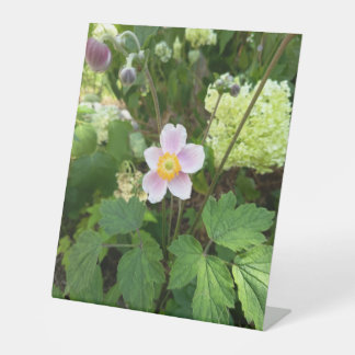 Tischschild mit rosa Wildblume | Botanischer Blume Sockelschild
