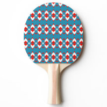 Tischtennisschläger | Tischtennisschläger