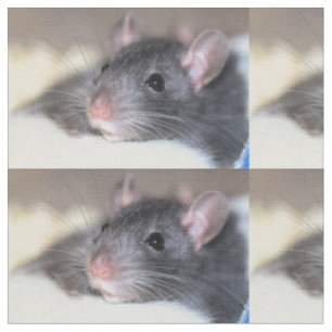 Tissu Adorable