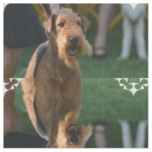 Tissu Airedale mignon Terrier