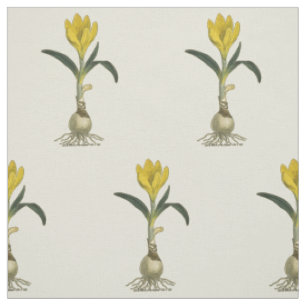 Tissu Amaryllis Tulip Jardin Botanique Fleur