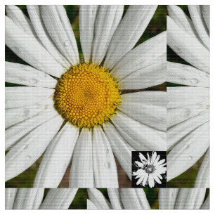 Tissu Amusement de marguerite