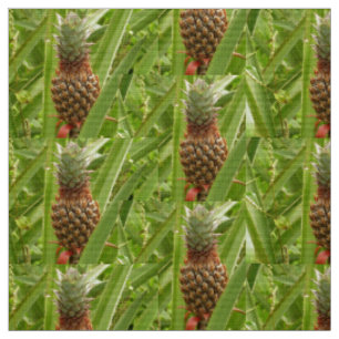 Tissu Ananas sauvage Fruit tropical dans la nature