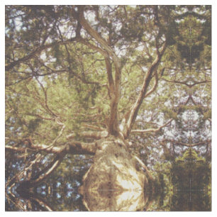 Tissu Arbre en miroir
