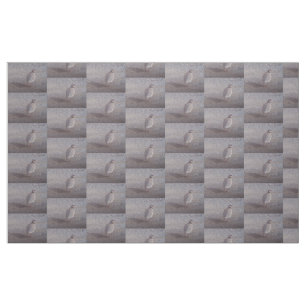 Tissu avec la conception de Chukar