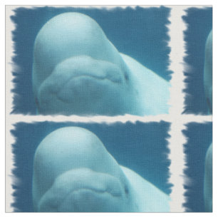 Tissu Baleine de beluga