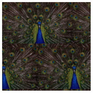 Tissu Beau Peacock