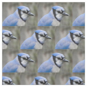 Tissu Beau plan rapproché de geai bleu