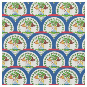 Tissu Belize Flag & Belize Trendy Fabric/fashion