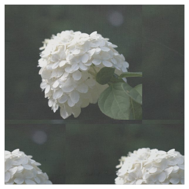 Tissu Belle Fleur d'Hydrange Lime Blanc (Échantillon)