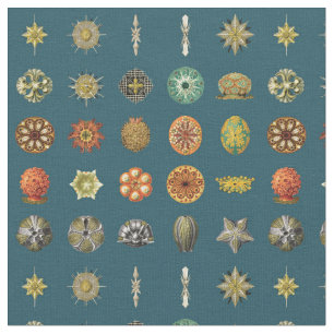 Tissu Bijoux de l'océan d'Ernst Haeckel