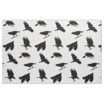 Black Bird ou Crow peut-être Raven