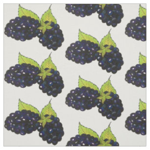 Tissu Blackberry Bush Summer Blackberry Berry Berry Berr