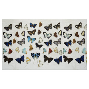 Tissu BLANC Brown BLEUS BLEUS BEAUCOUP BEAUTÉ Nature Lov