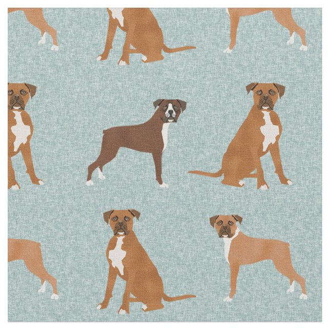 Tissu bleu clair de chien de boxe (Fermer)