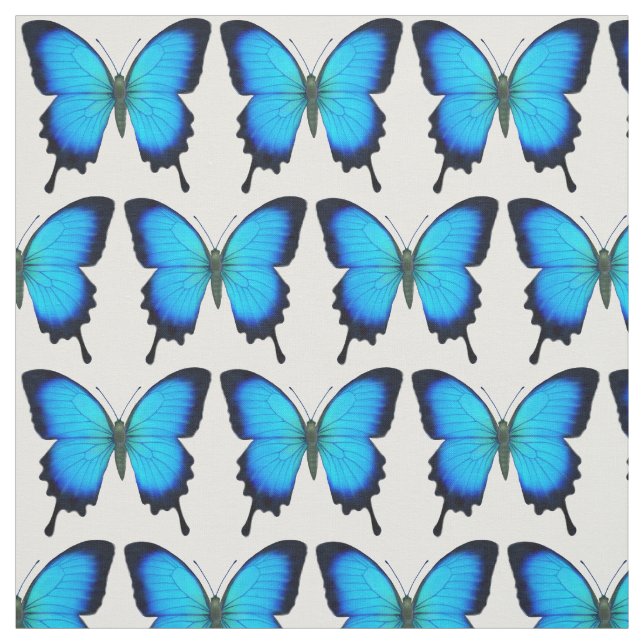 Tissu bleu de papillon de machaon d'Ulysse (Échantillon)