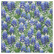 Bluebonnet