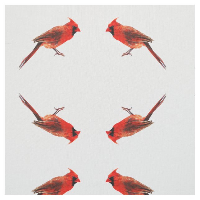 Tissu Cardinal(s) (Échantillon)