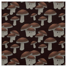 Champignons Russula -