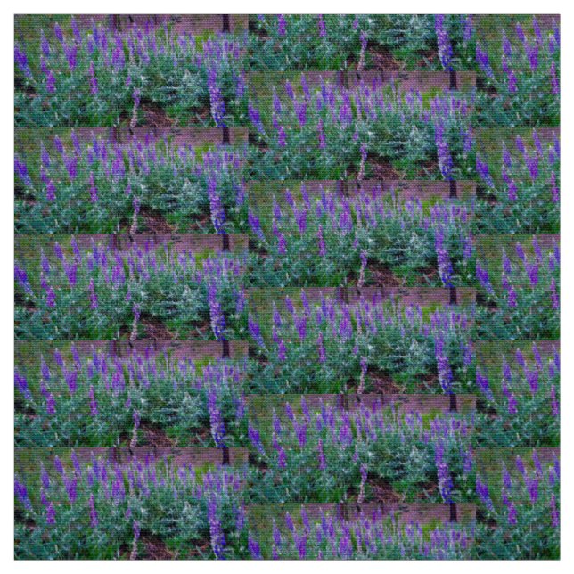Tissu Champs Lupine (Échantillon)