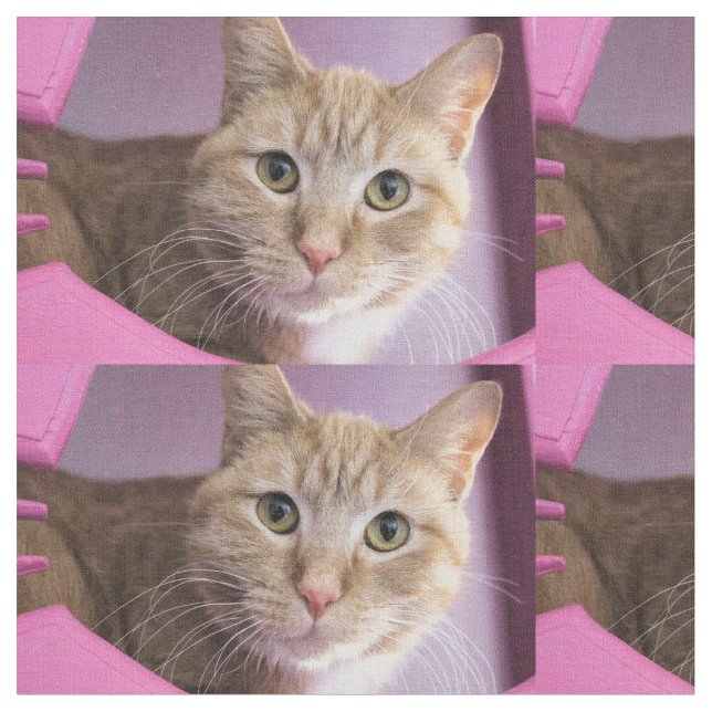 Tissu Chat (Fermer)