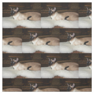 Tissu Chat siamois élégant