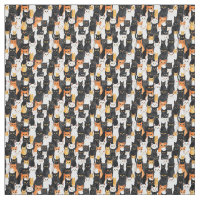Chats blancs noirs orange