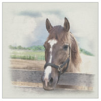 Cheval Brown avec le licou