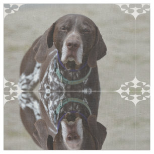 Tissu Chien allemand d'indicateur aux cheveux courts