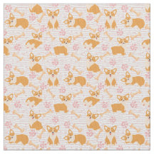 Chiens de corgi mignons