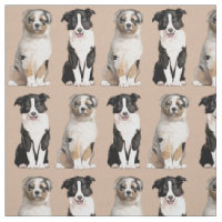 Chiot australien et border collie de berger