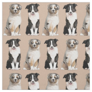 Tissu Chiot australien et border collie de berger