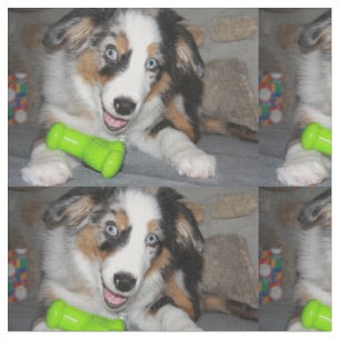 Tissu chiot merle bleu.png