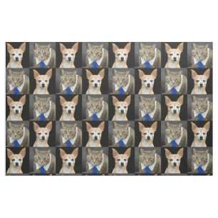 Tissu Chiwawa beige et chat tigré gris avec la cravate