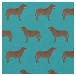 Tissu Chocolat Labrador turquoise