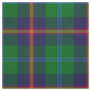 Tissu Clan écossais Young Tartan Plaid